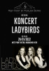 Koncert Ladybirds