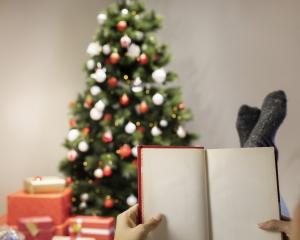 Knihovna - čerpání dovolené 23.12.2024 - 05.01.2025 1